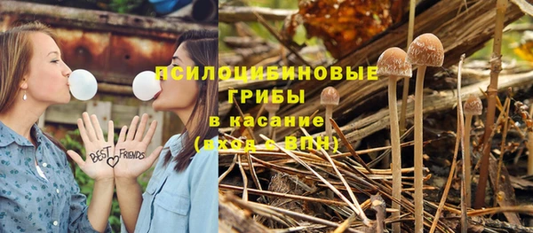 не бодяженный Аркадак
