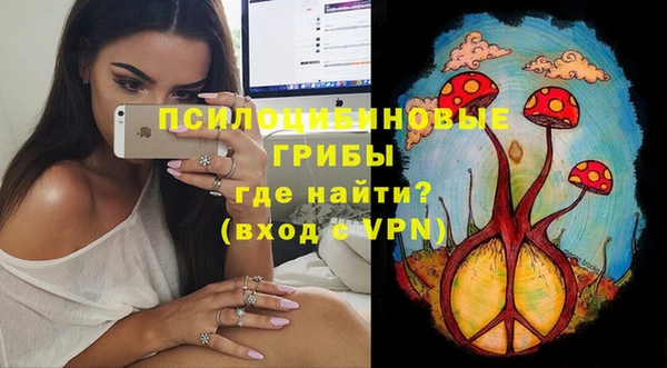 не бодяженный Аркадак