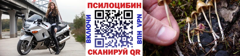 Галлюциногенные грибы мицелий  гидра вход  Тарко-Сале 